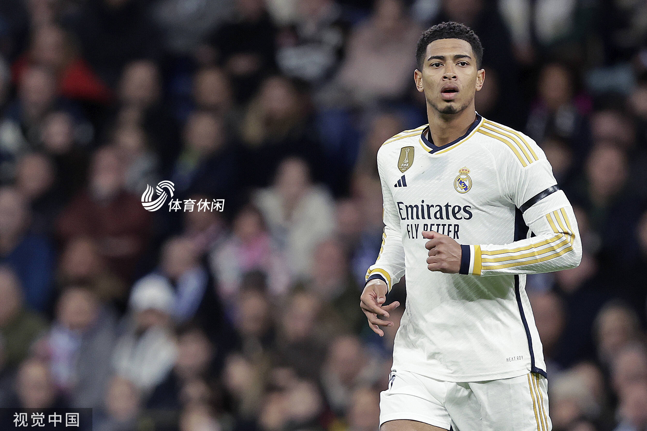 篮球CBA球队锁定季后赛席位，球迷沸腾