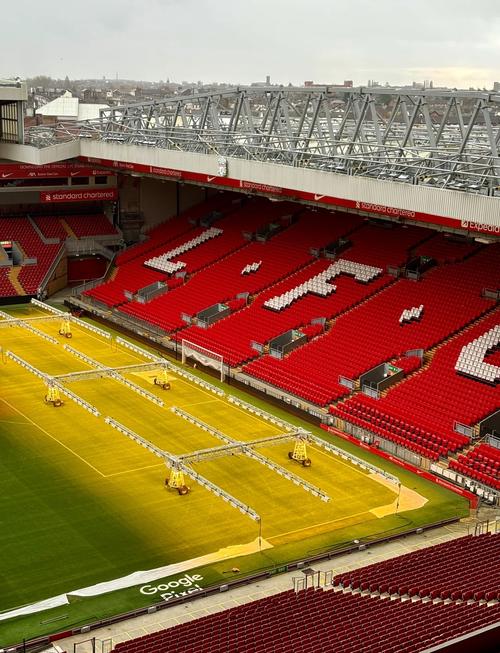 2025年FIBA 3×3女子美洲杯 美国女篮5‑0完胜夺冠（美国女篮5-0横扫，加冕2025年FIBA 3x3女子美洲杯）