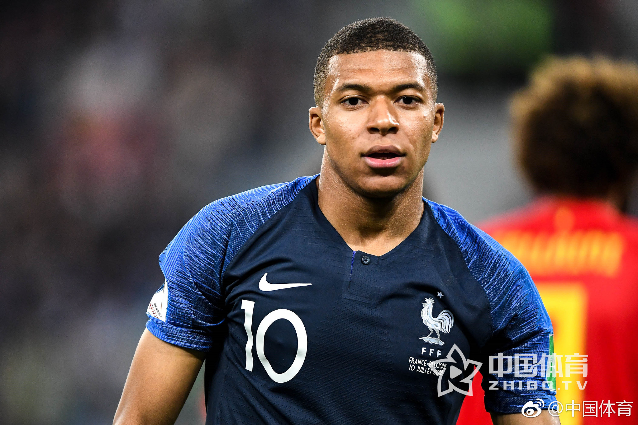 引发众怒，电讯报：摩洛哥为承办国际赛事大规模捕杀流浪狗（电讯报：摩洛哥为办国际赛事大规模捕杀流浪狗，激起公愤）